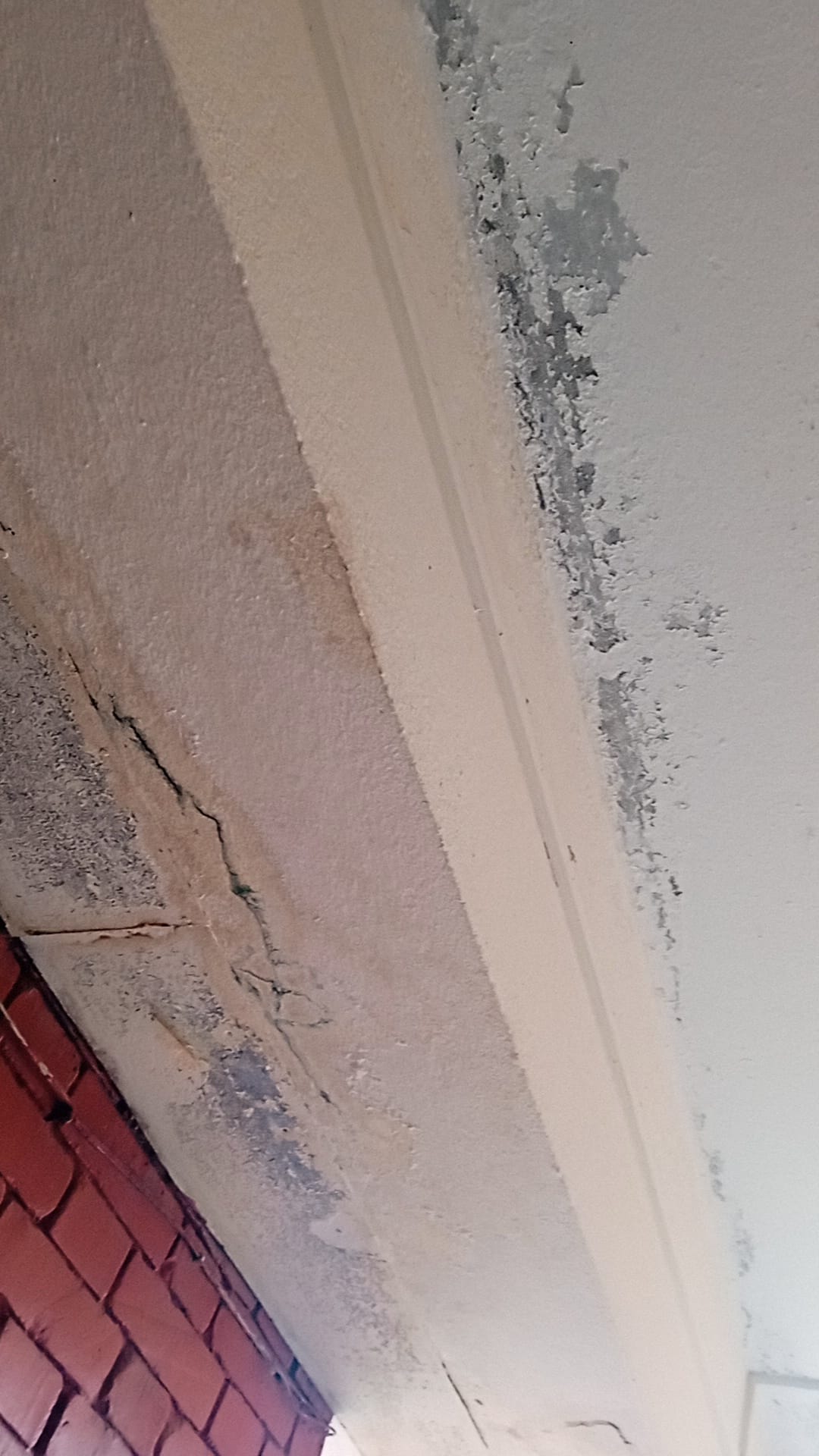 330374941_903785870750416_7968664164928532354_n